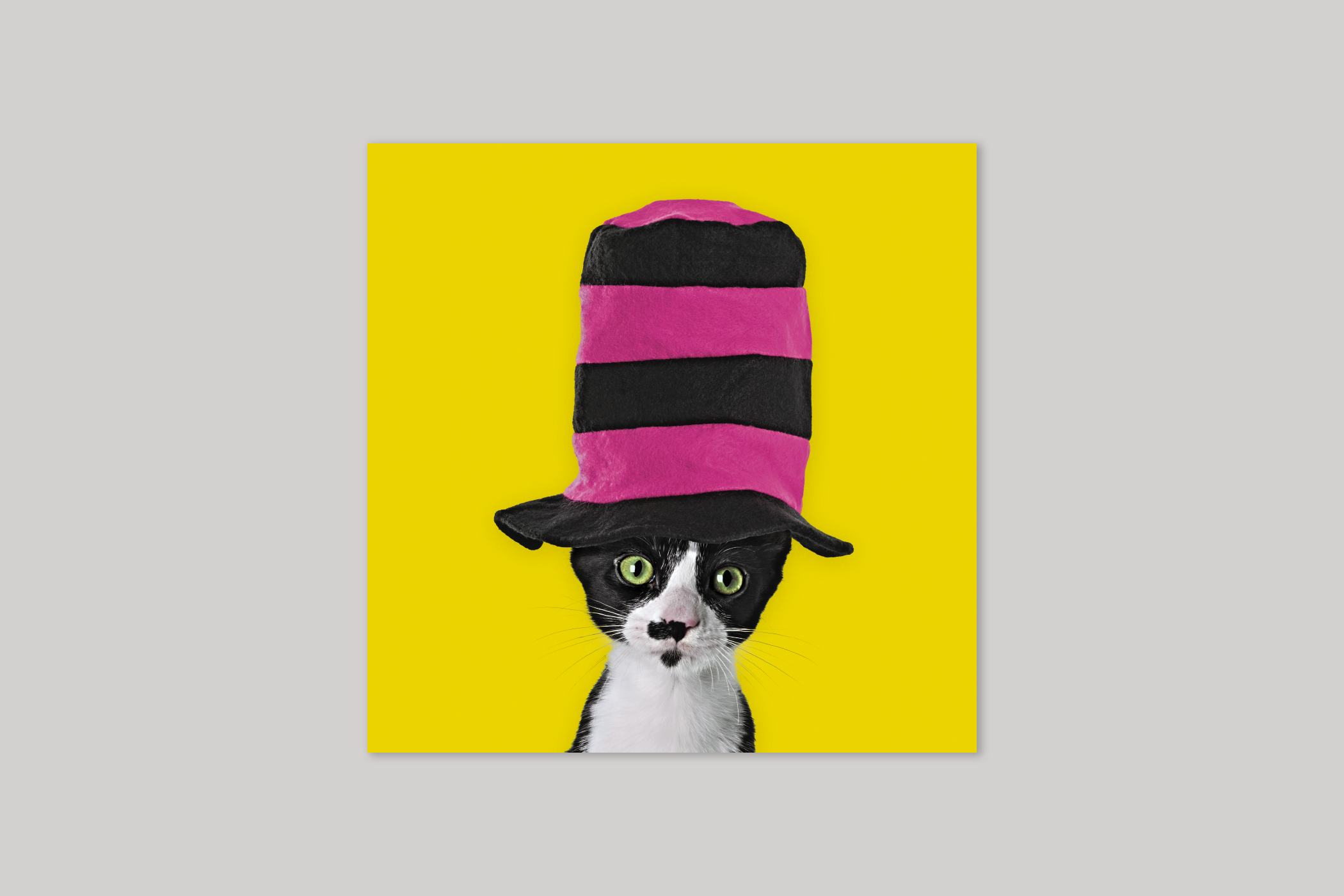 Top Hat from Wildthings range of greeting cards by Icon.
