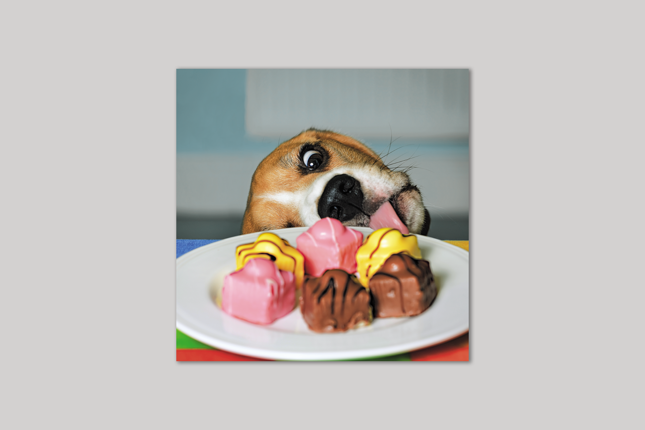 Sweet Tooth from Exposure range of photographic cards by Icon.