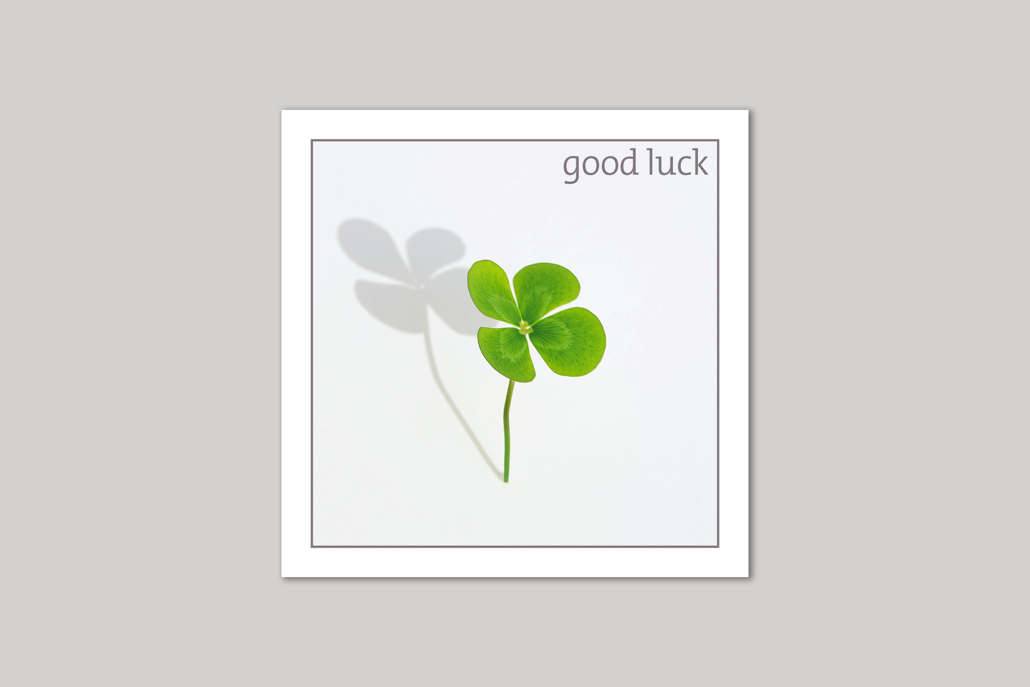 Clover good luck card from Exposure Silver Edition range of greeting cards by Icon.