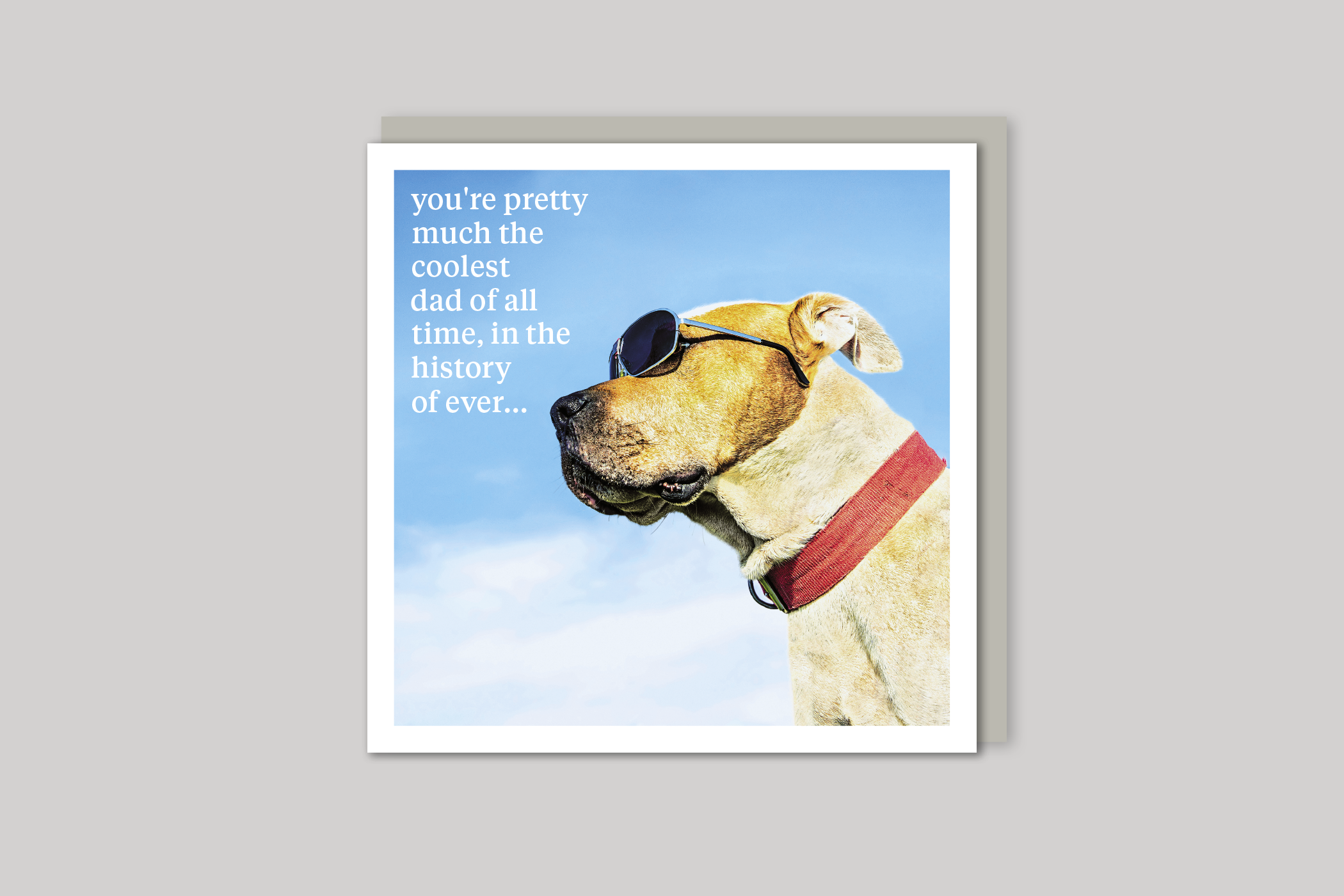 Coolest Dad dad card quirky animal portrait from Curious World range of greeting cards by Icon, back page.