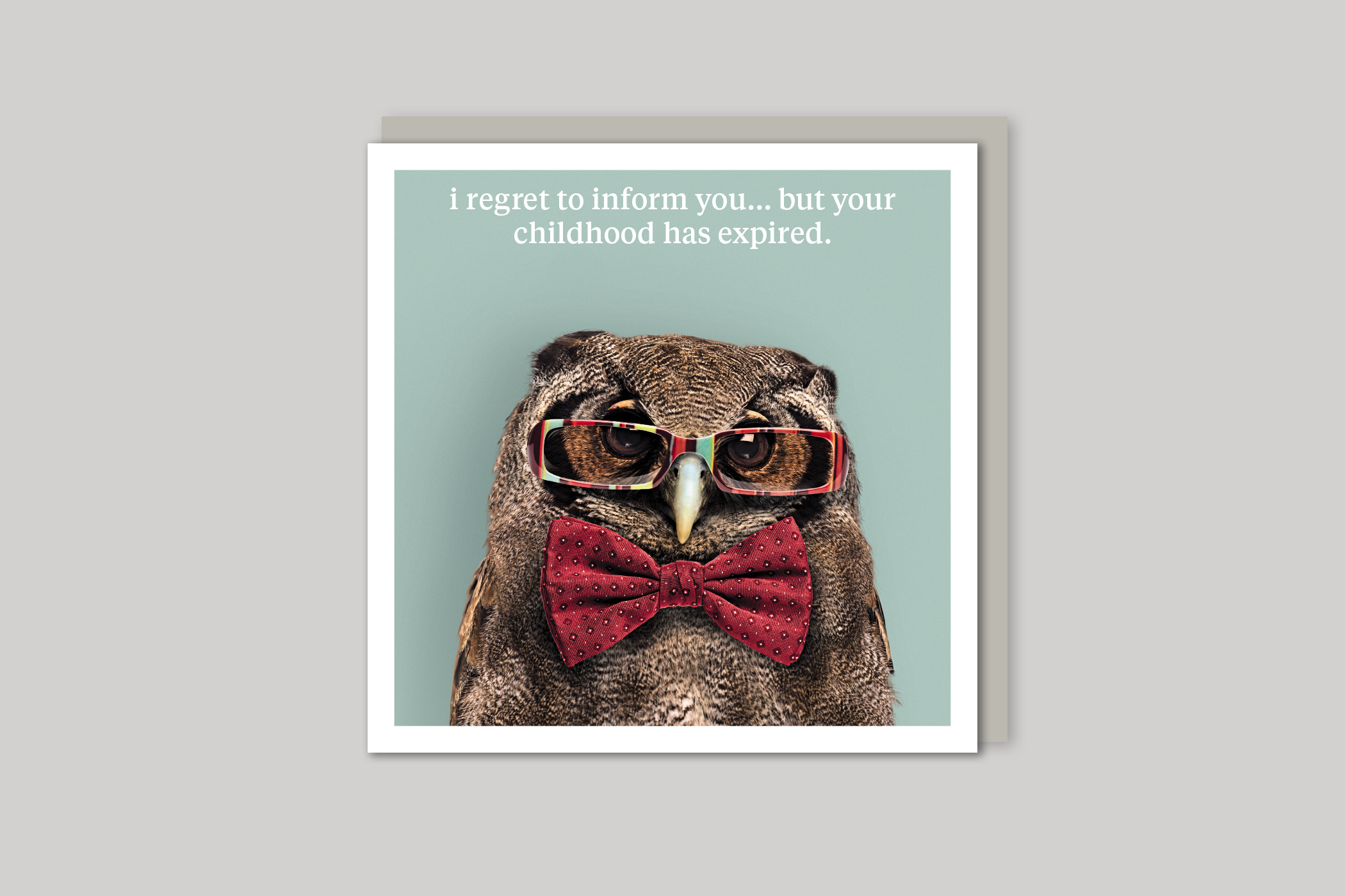 Your Childhood Expired quirky animal portrait from Curious World range of greeting cards by Icon, back page.