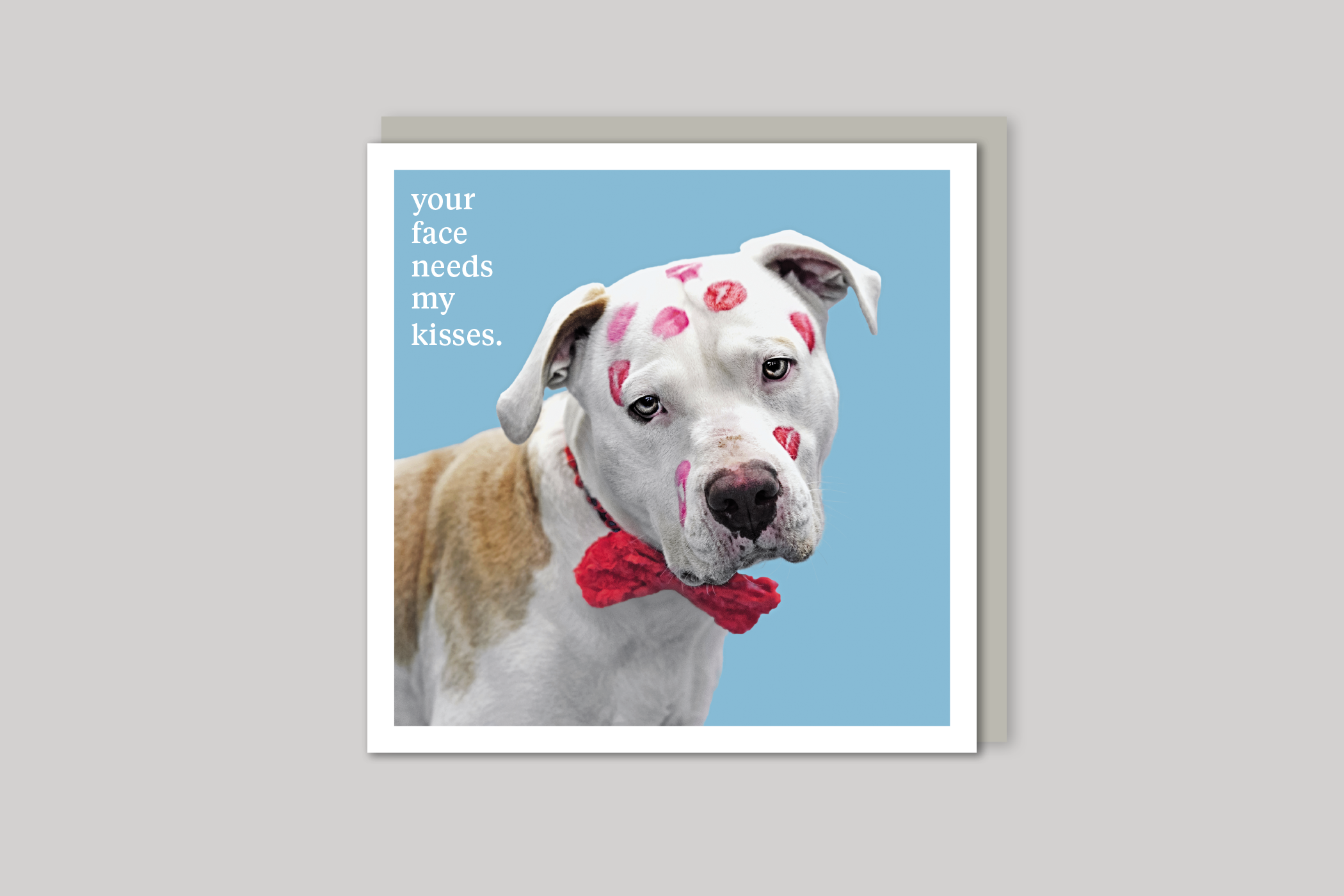 My Kisses quirky animal portrait from Curious World range of greeting cards by Icon, back page.