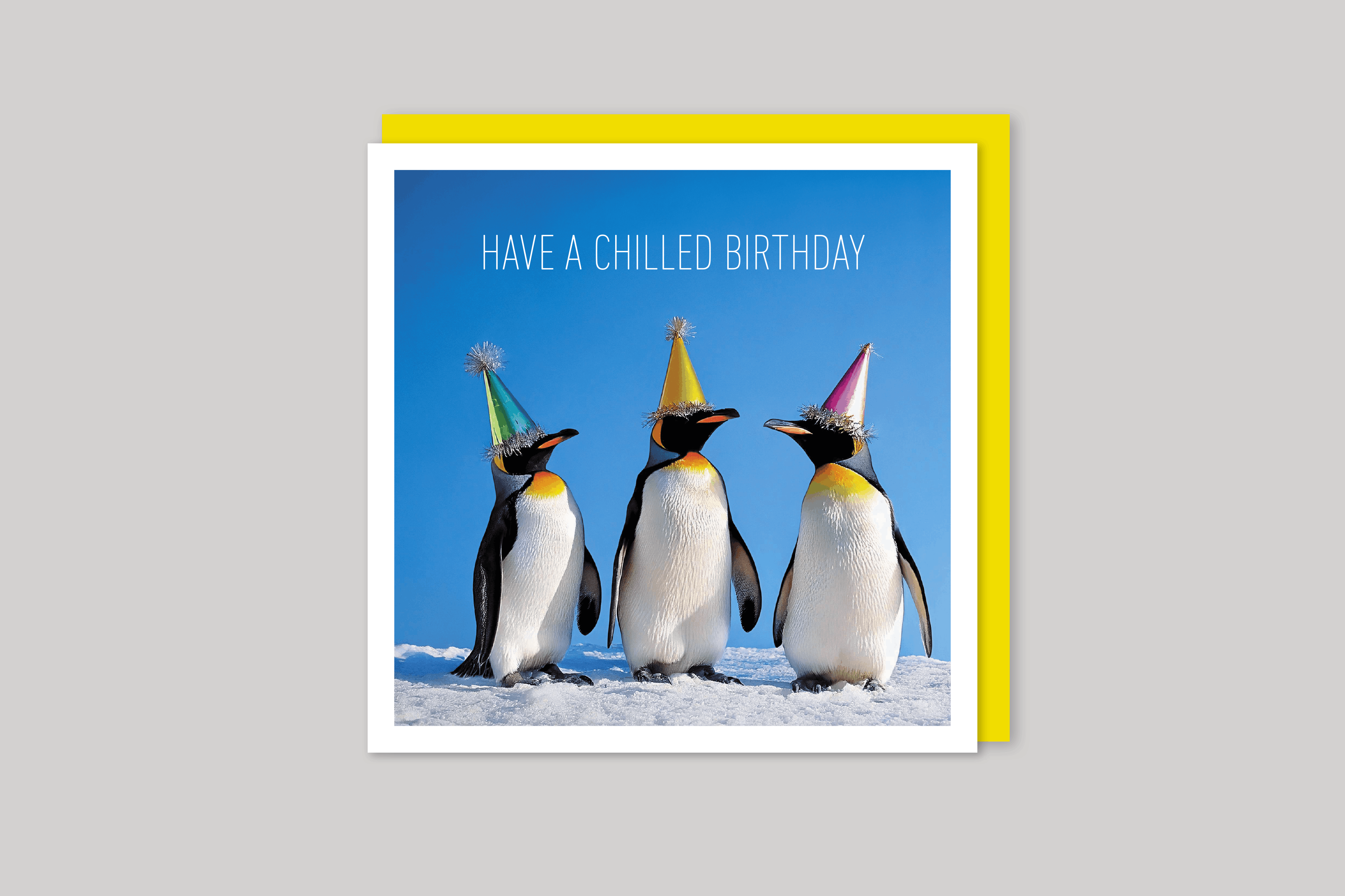 Have a Chilled Birthday is from Coola Coola an uber-cool range of animal cards published by Icon, with envelope.