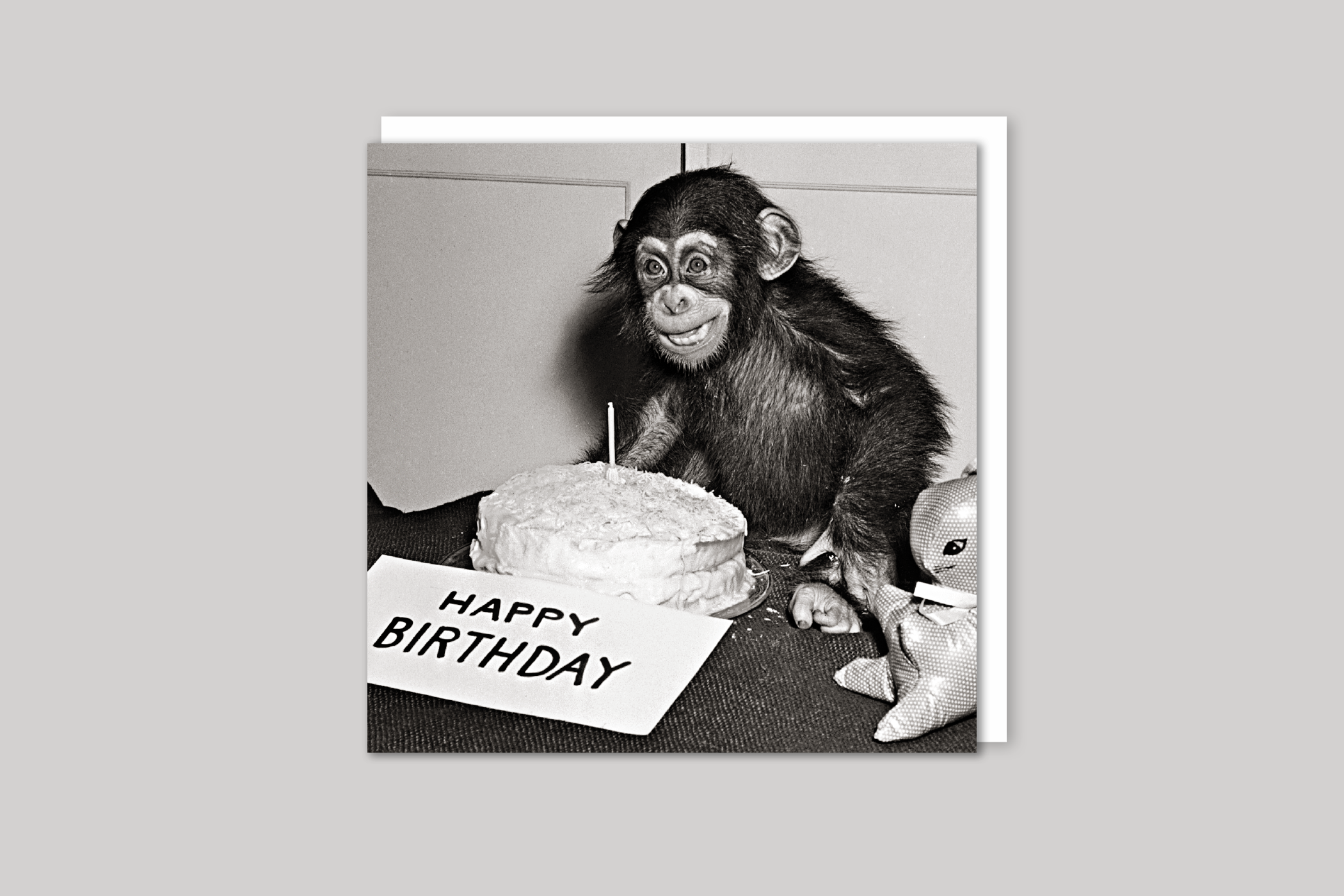 Happy Birthday Chimp retro photograph from Exposure range of photographic cards by Icon, back page.