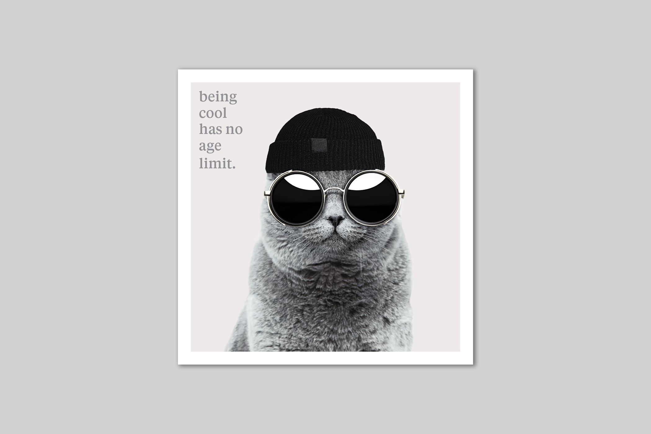 Being Cool quirky animal portrait from Curious World range of greeting cards by Icon.