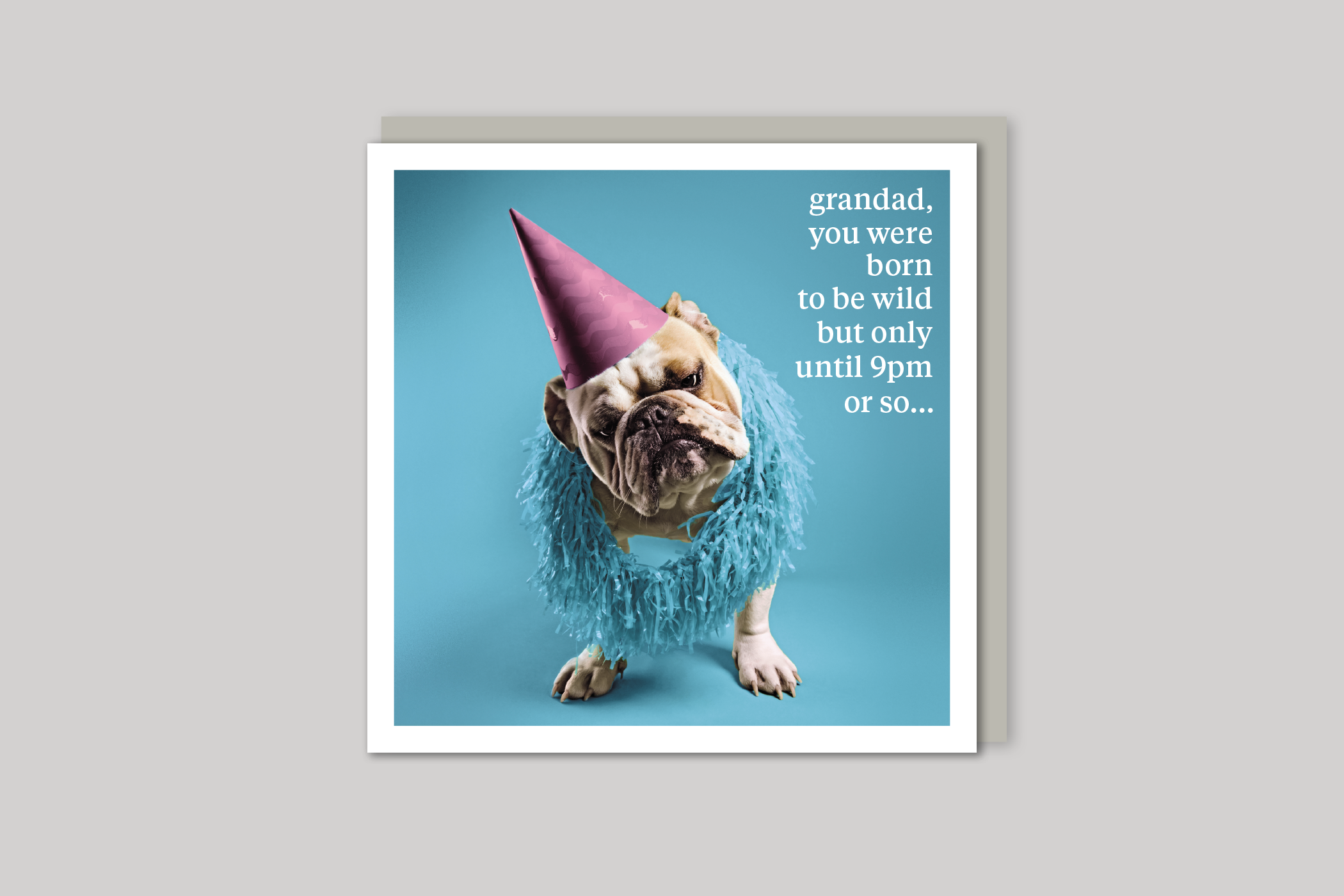Born to be Wild grandad card quirky animal portrait from Curious World range of greeting cards by Icon, back page.