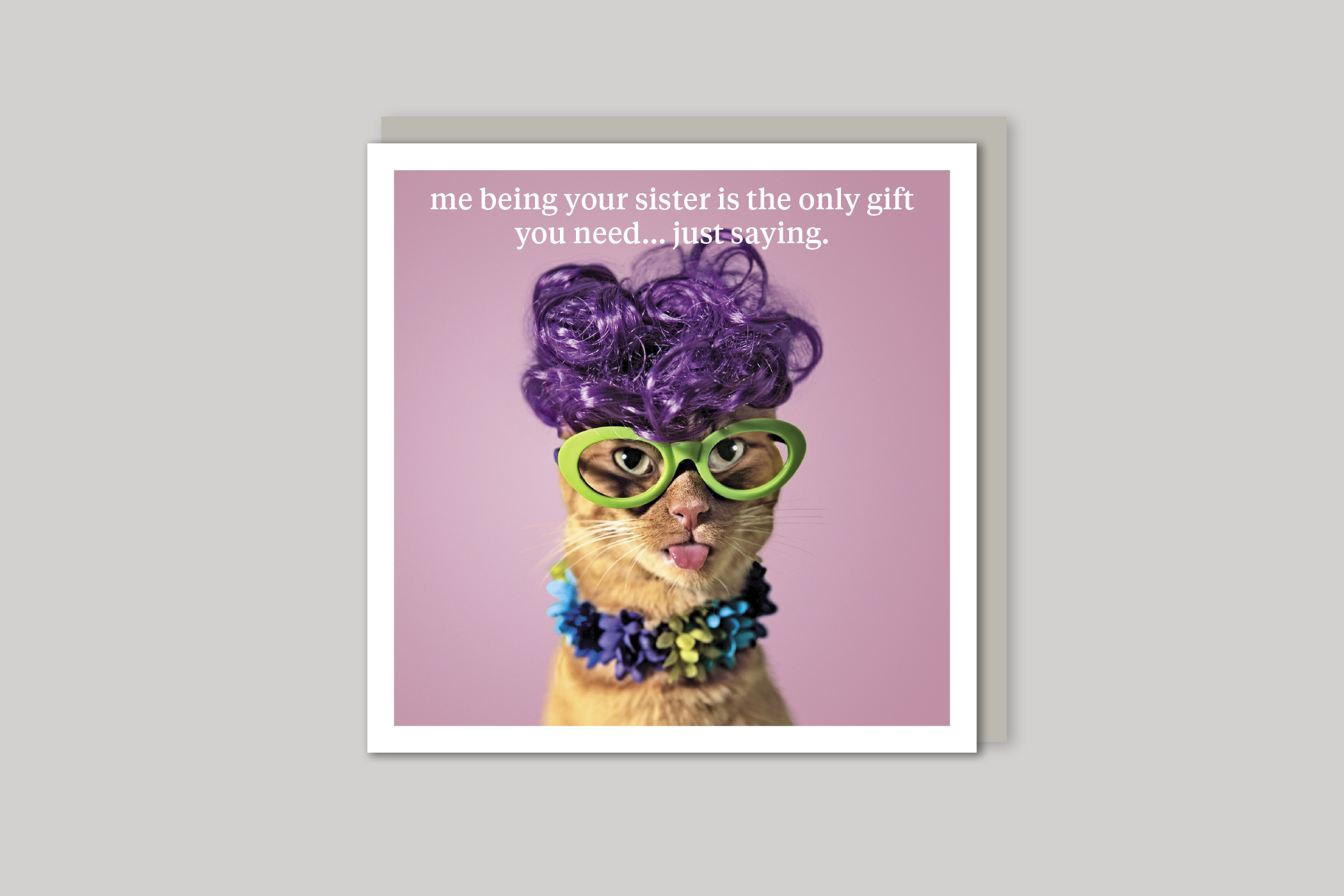 Just Saying sister card quirky animal portrait from Curious World range of greeting cards by Icon, back page.