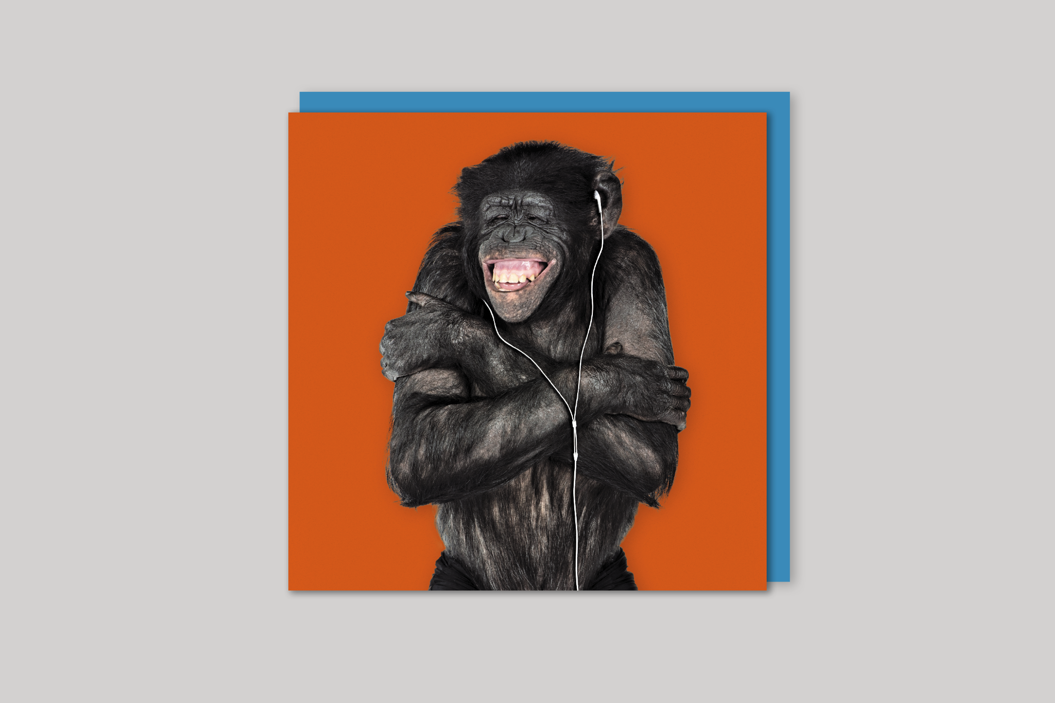 Vincent the Chimpanzee from Wildthings range of greeting cards by Icon, back page.