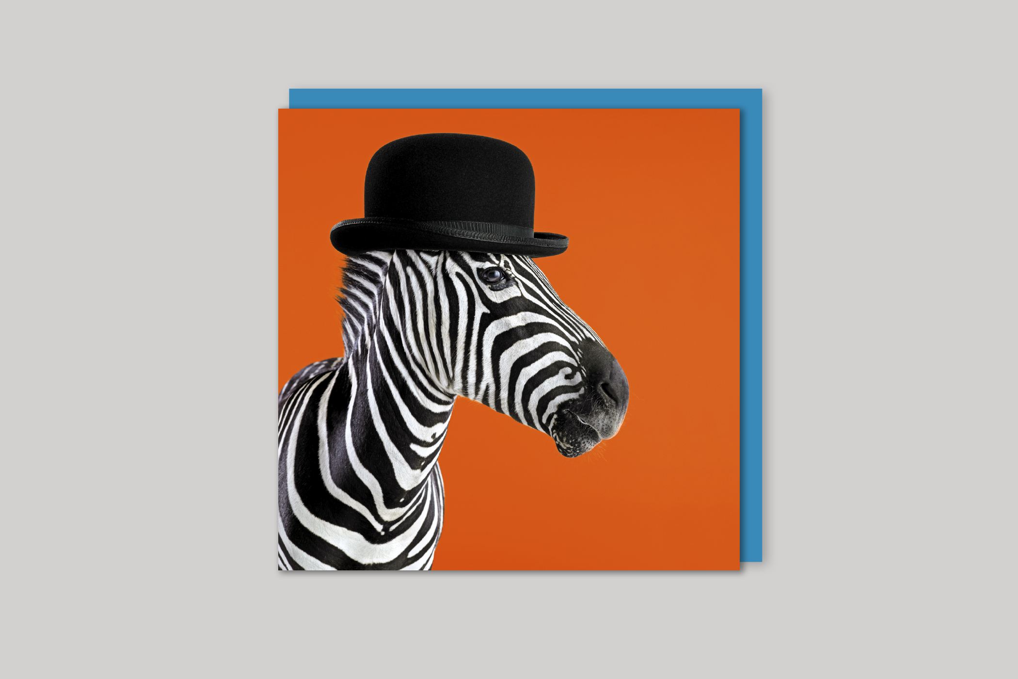 Clockwork Zebra from Wildthings range of greeting cards by Icon, back page.