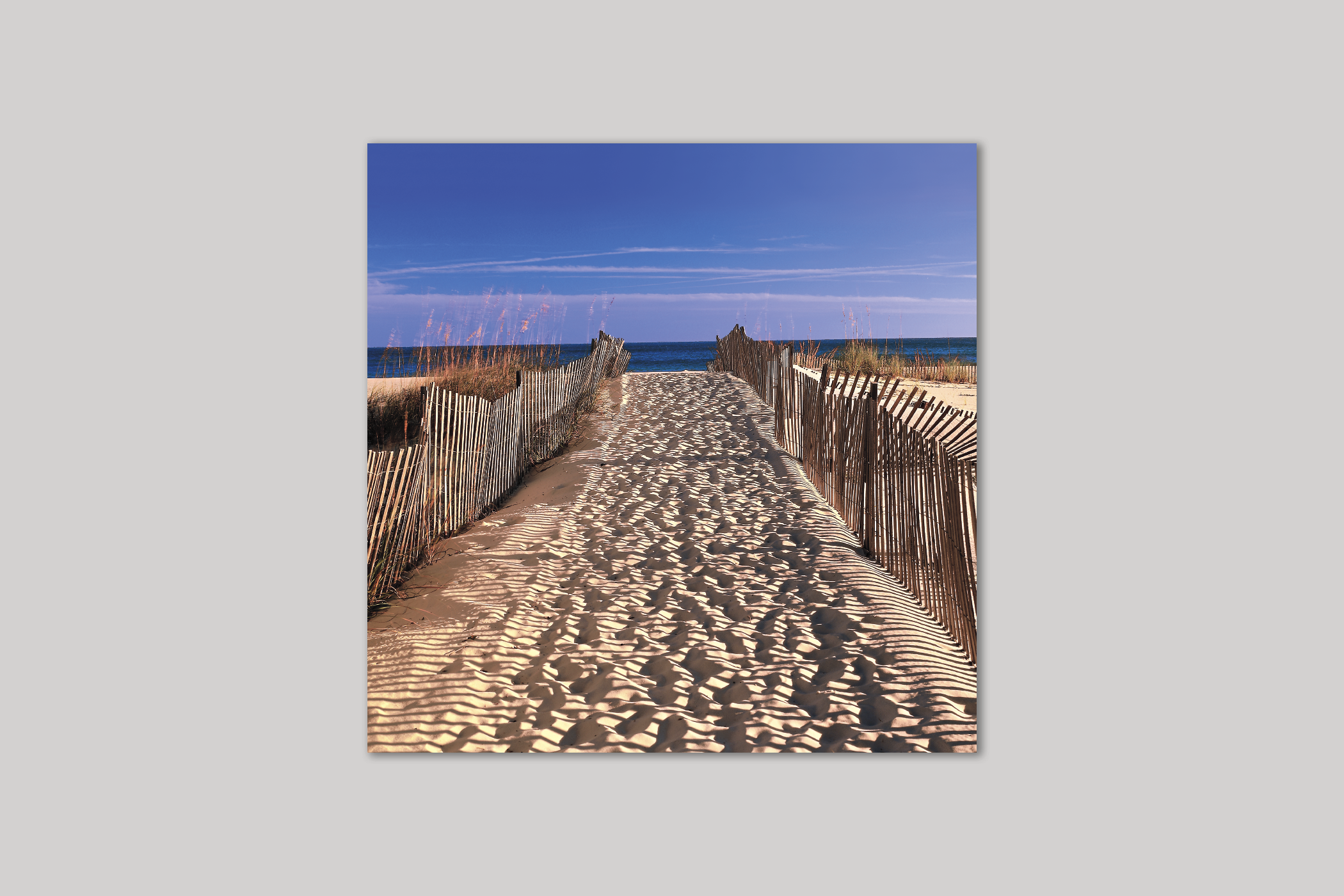 Beach Pathway from Exposure range of photographic cards by Icon.