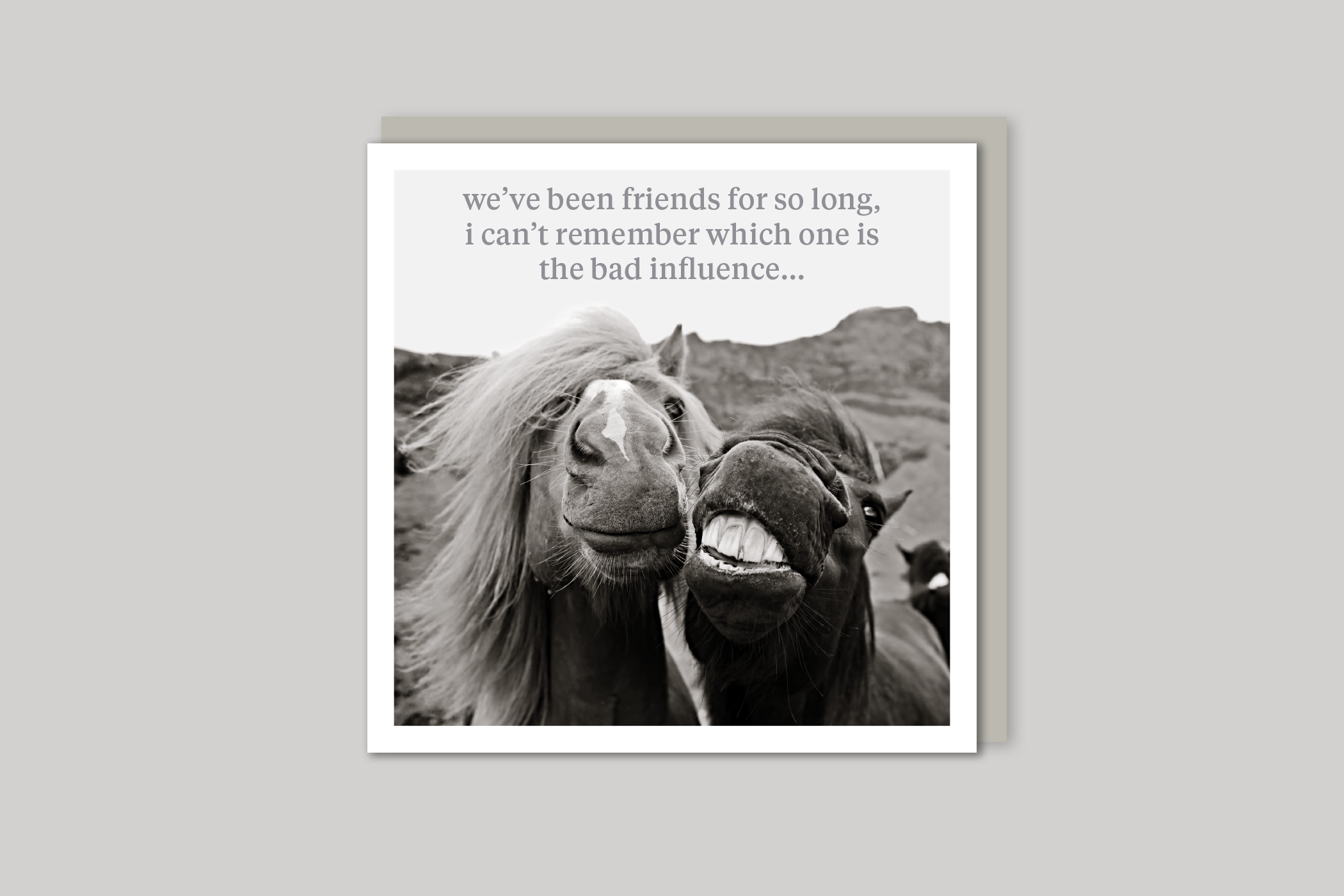 Bad Influence quirky animal portrait from Curious World range of greeting cards by Icon, back page.