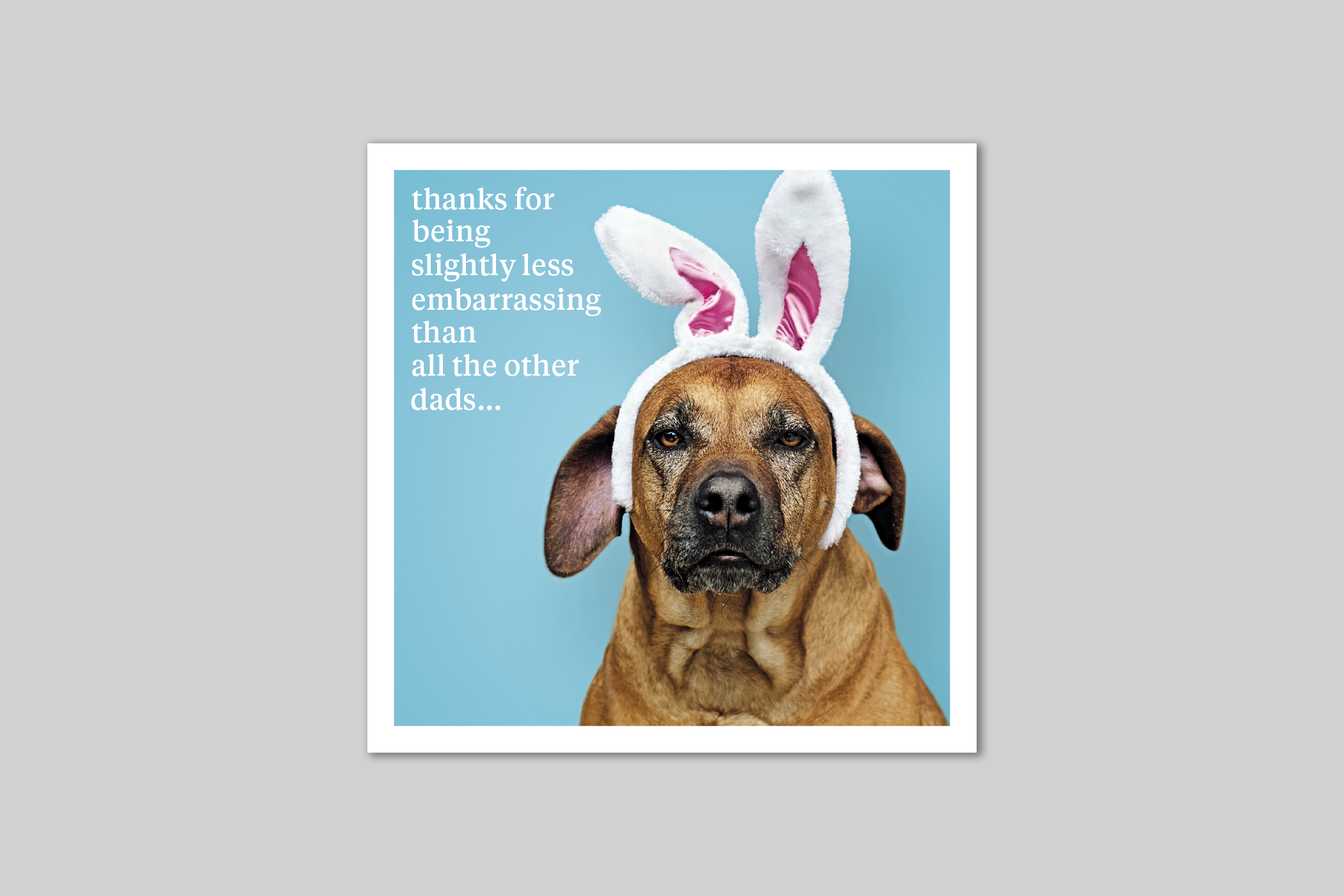 Less Embarrassing dad card quirky animal portrait from Curious World range of greeting cards by Icon.