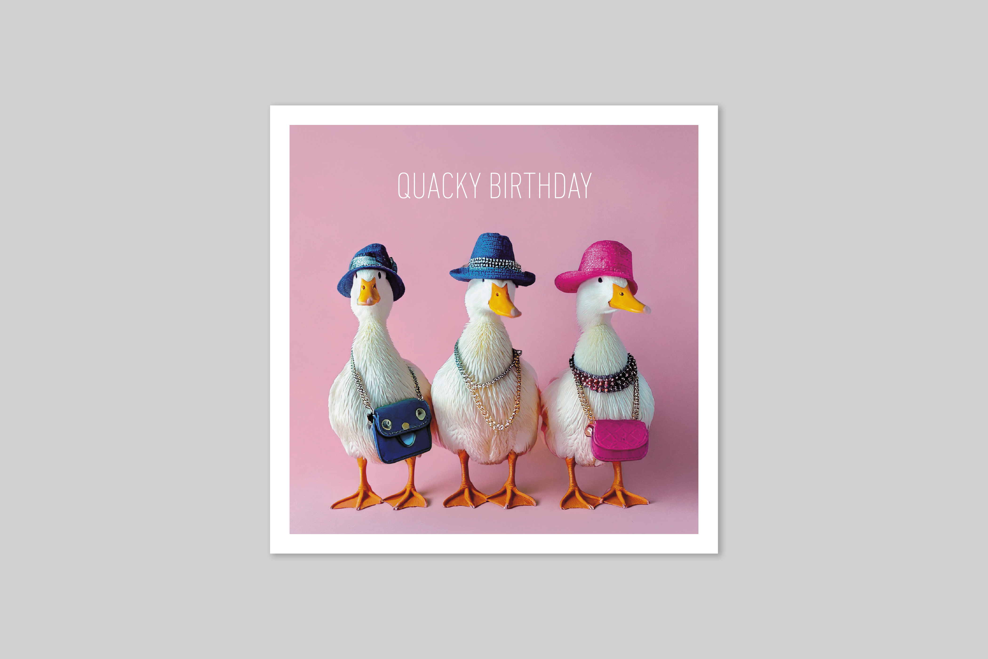 Quacky Birthday is from Coola Coola an uber-cool range of animal cards published by Icon.