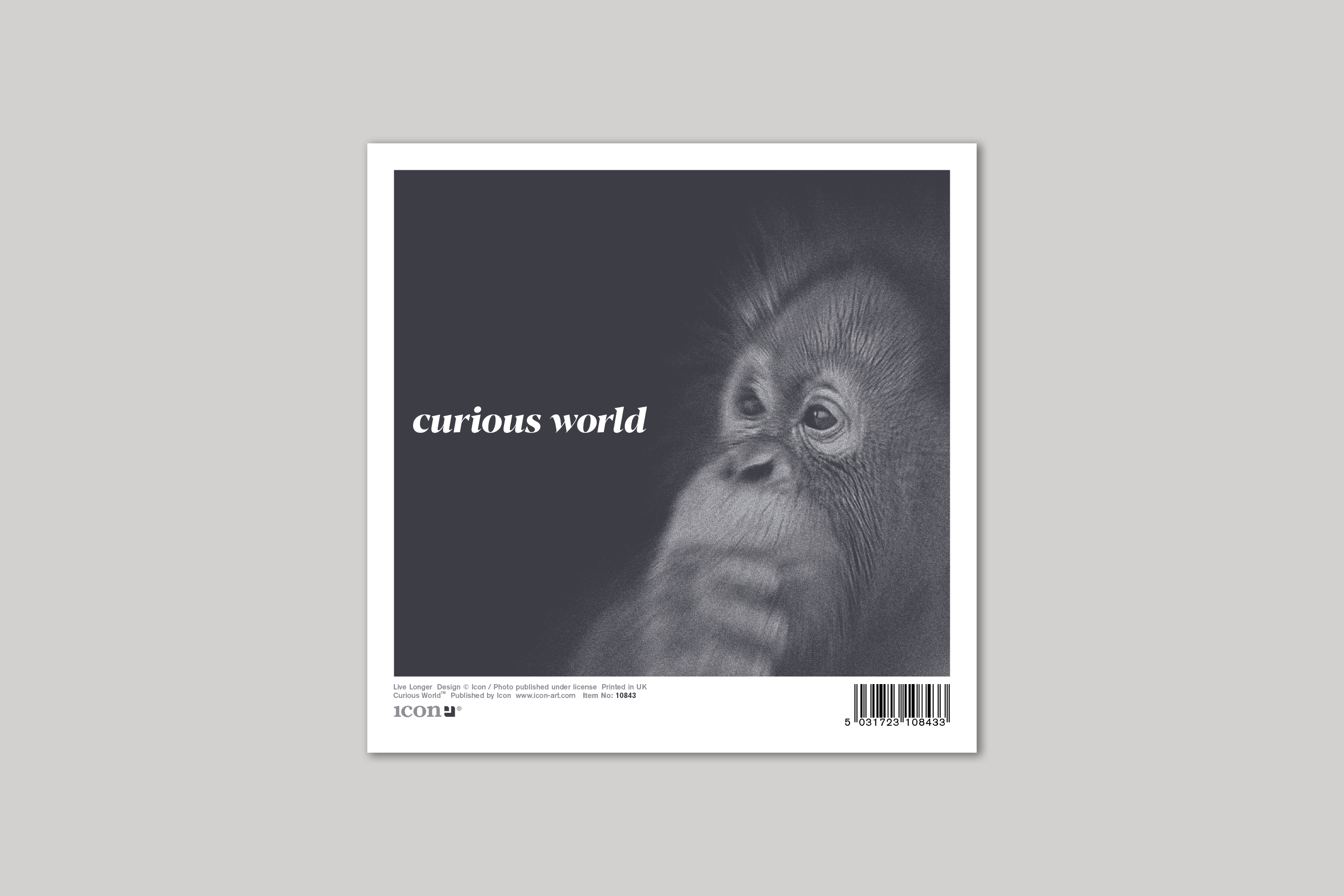 Live Longer quirky animal portrait from Curious World range of greeting cards by Icon, back page.