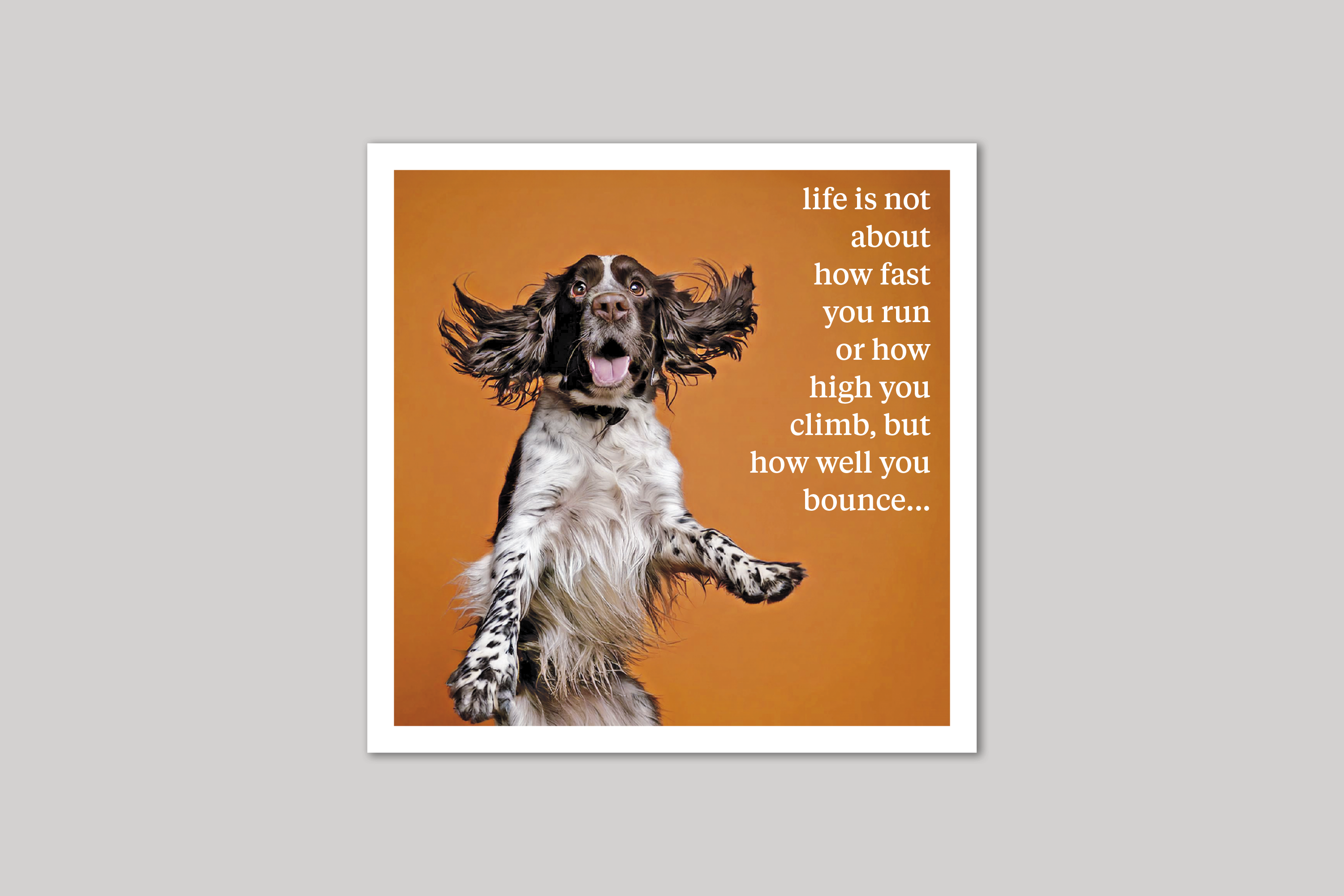 Life Lessons quirky animal portrait from Curious World range of greeting cards by Icon.