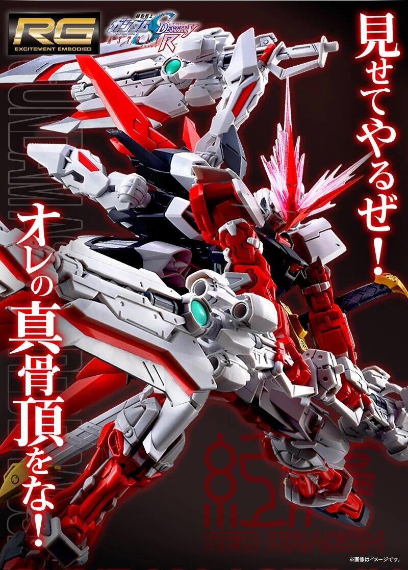 RG 1/144 Gundam Astray Red Dragon - Gunpla San