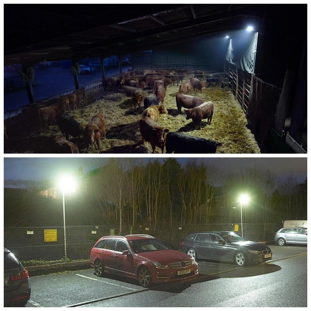 Arena 2K Lighting in Car Park | PowerShackShop