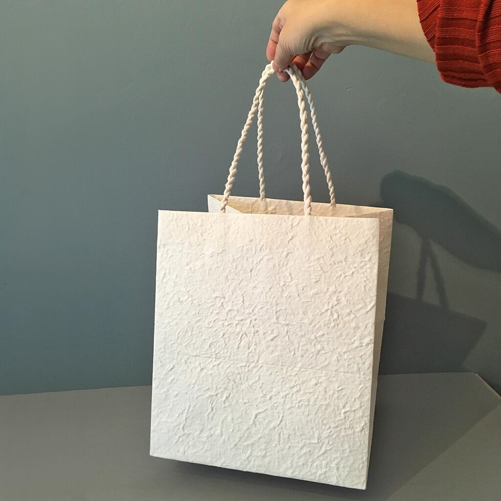 Gift Bag Medium