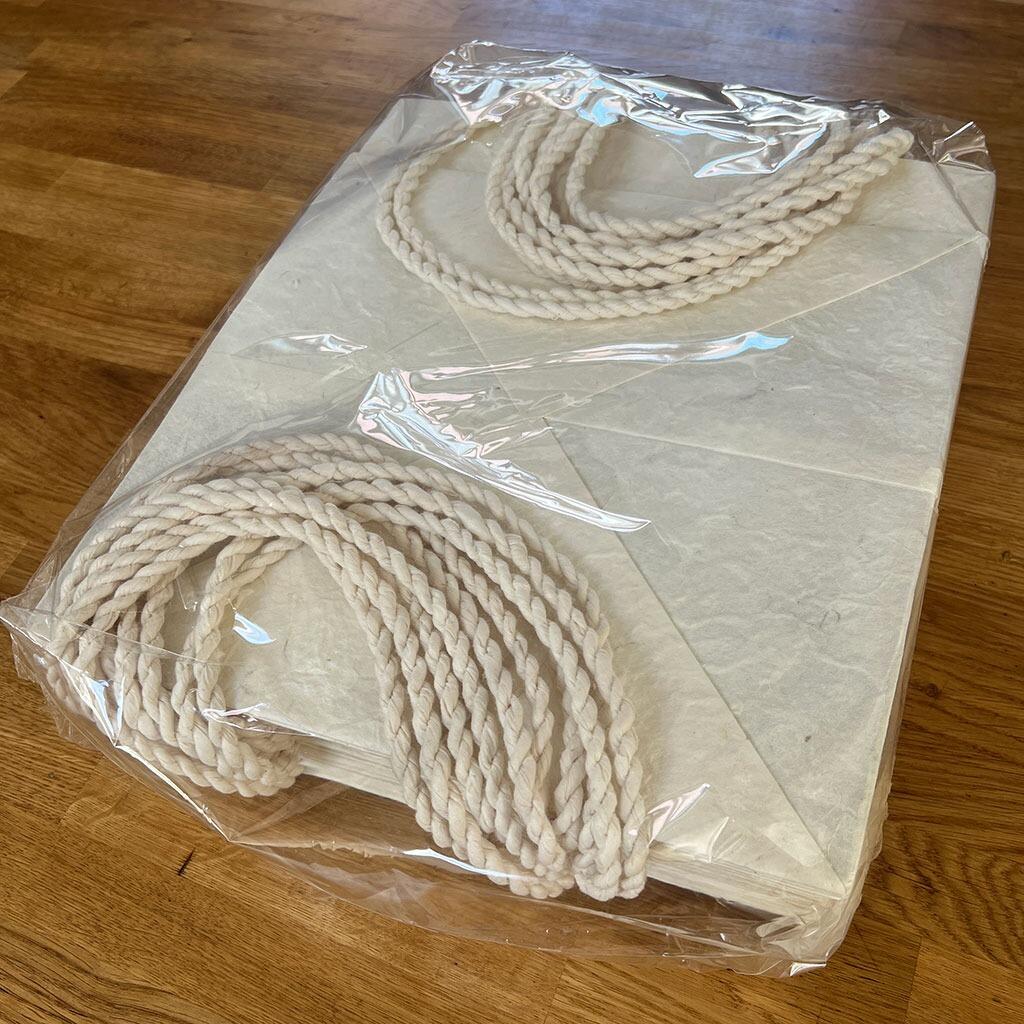 Mulberry Paper Gift Bags Large Pack