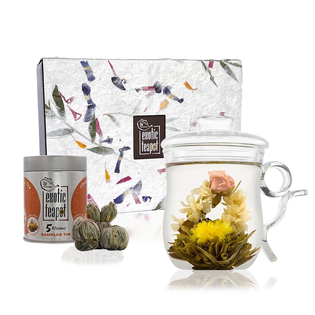 Infuser Mug Discovery Tea Set