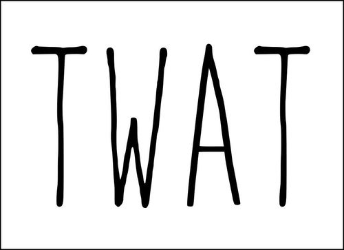 The word 'twat'. Extremely huge black text on white background.