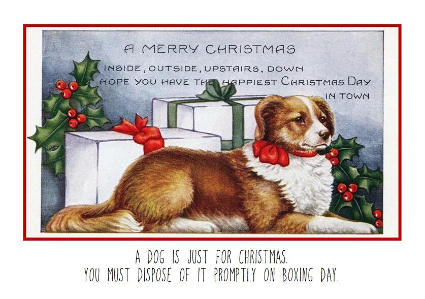 CAPTION: A dog is just for Christmas. You must dispose of it promptly on Boxing Day.