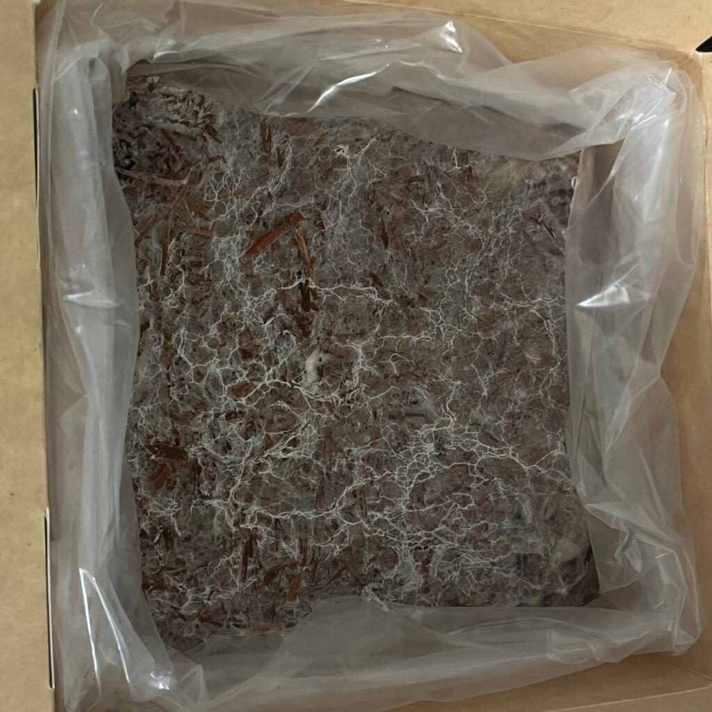 Why Should You Reuse Spent Mushroom Substrate?