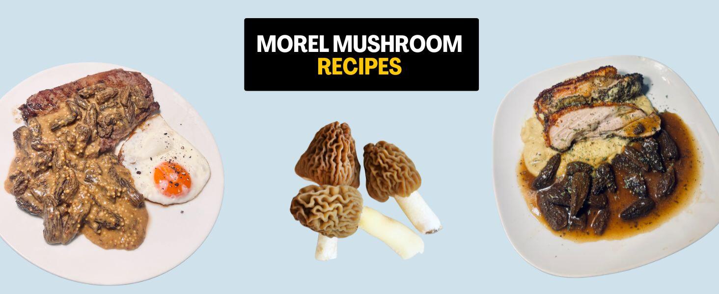 morel mushroom recipes graphic showing different dishes
