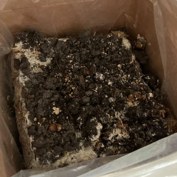 Dry topsoil example