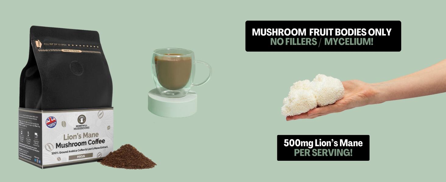 Lion's Mane Mushroom Coffee Infographic Banner