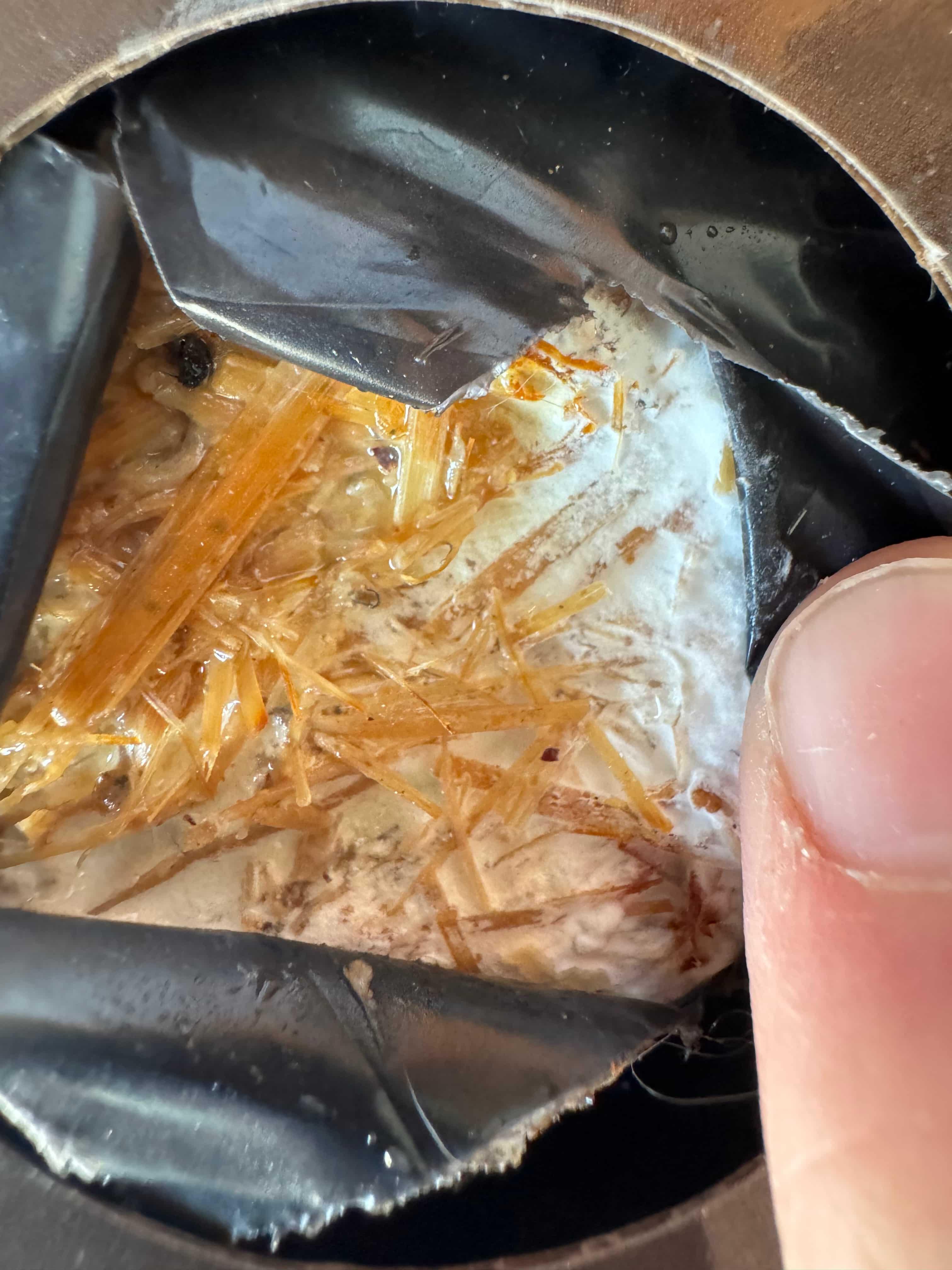Overwatered mushroom kit surface showing visible water pooling and a shiny wet layer on top of the compost, indicating too much misting