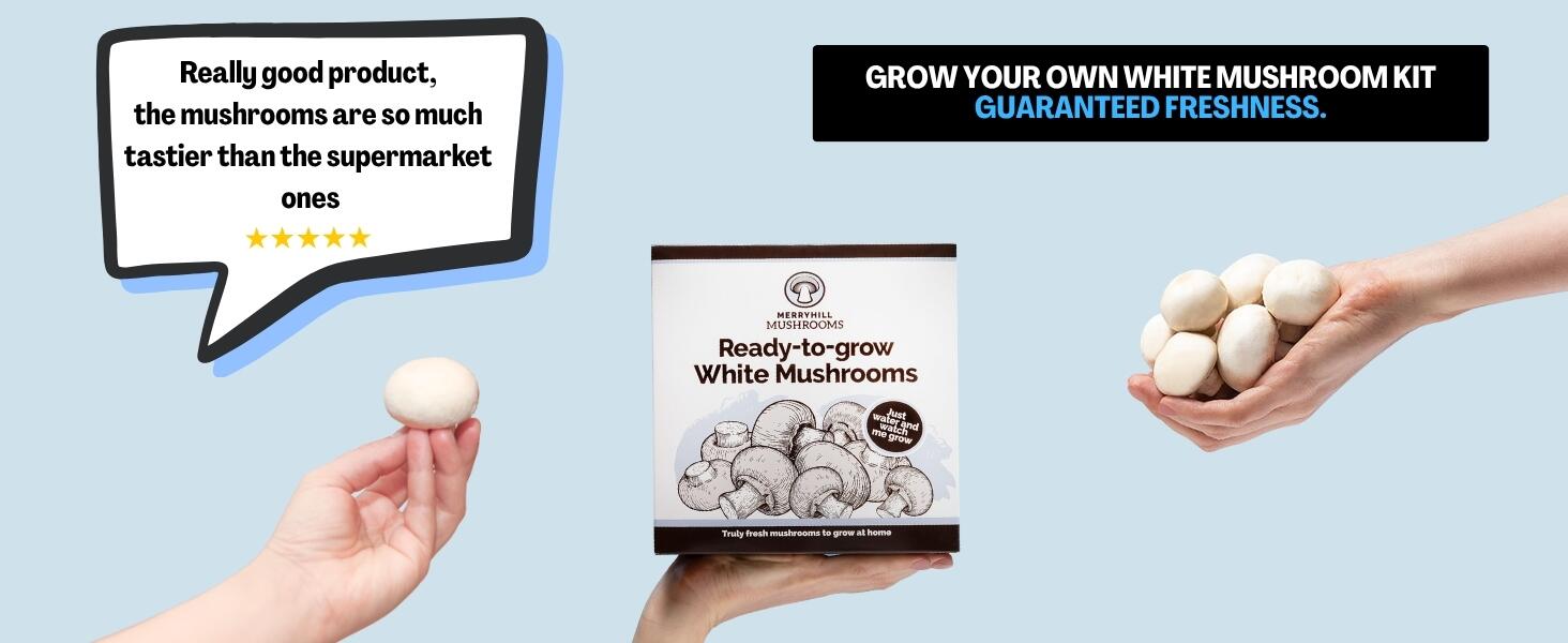 White Mushroom Growing Kit Infographic