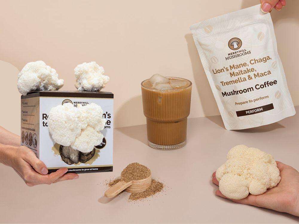 Mushroom growing kit beside a coffee blend showing the difference between culinary and wellness mushroom products
