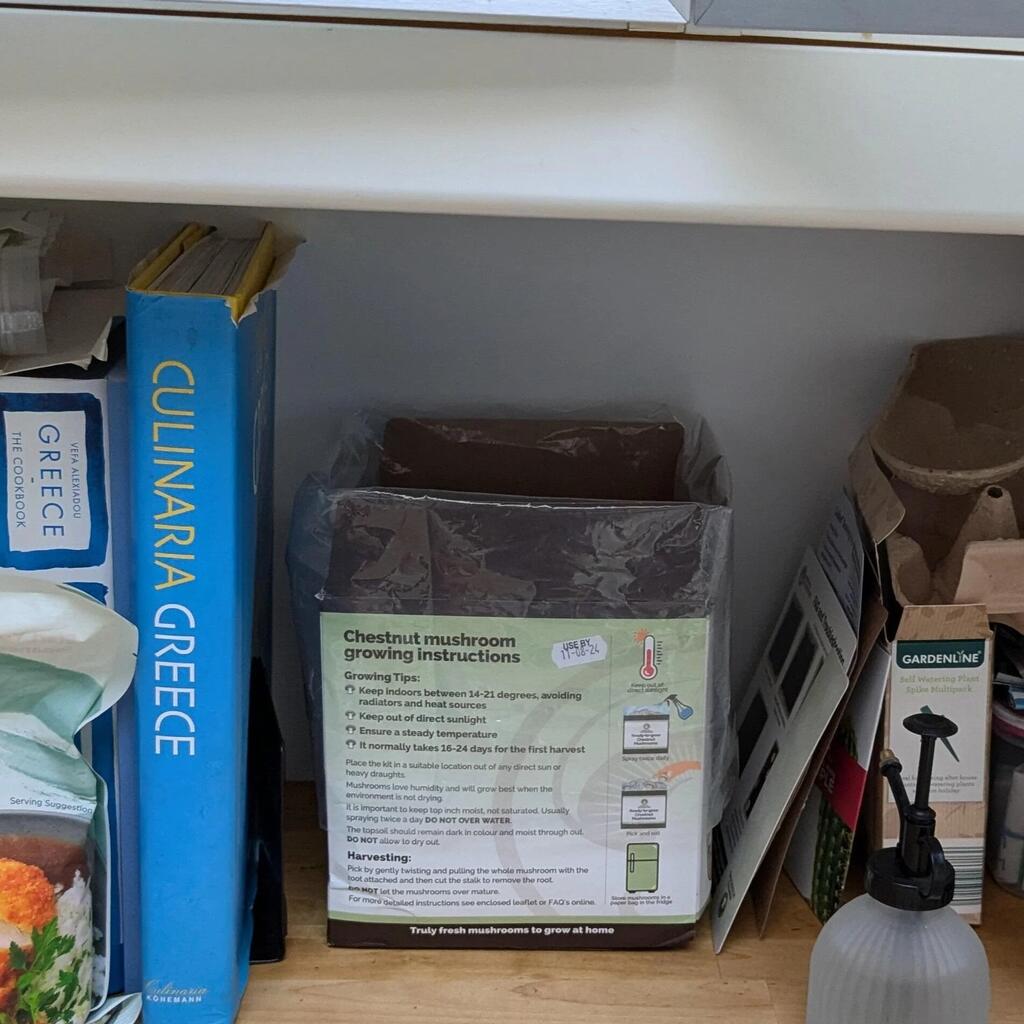 Where Not to Place Your Mushroom Growing Kit - Locations to avoid