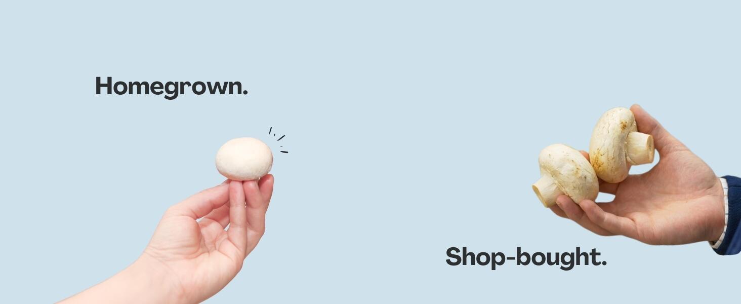 homegrown v Shop-bought mushrooms