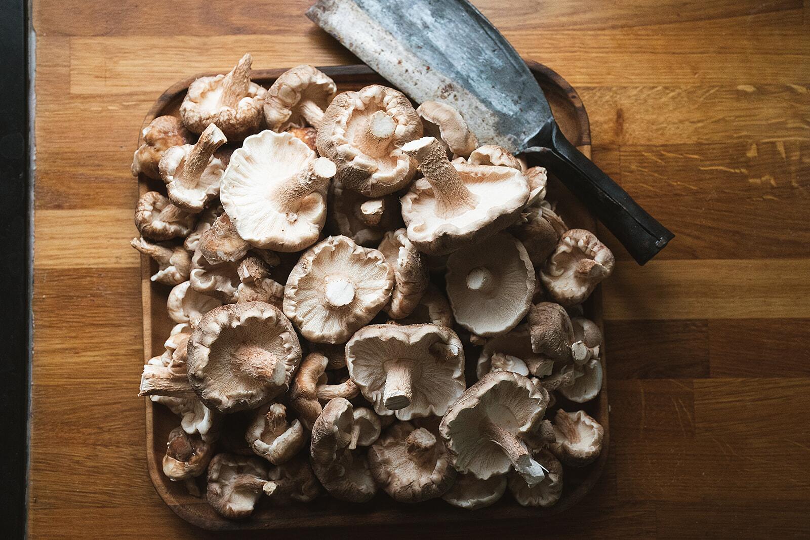 Freshly harvested mushrooms from a Merryhill Mushrooms ready growing Shiitake kit