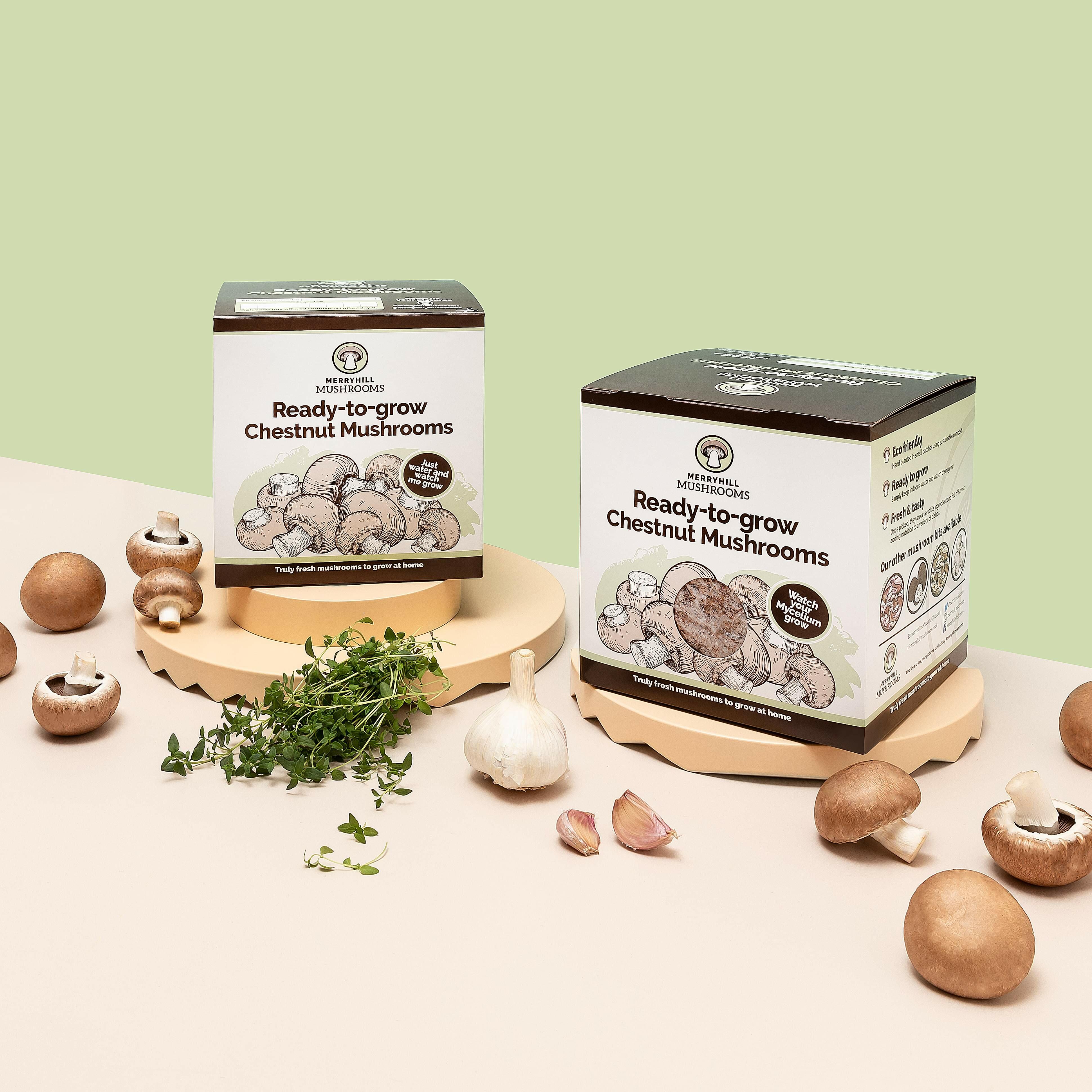 Two Chestnut Mushroom Growing Kits
