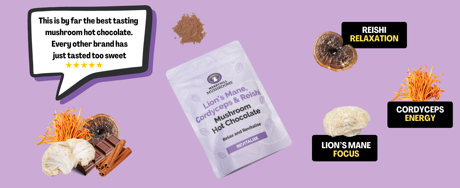 Mushroom Hot Chocolate infographic