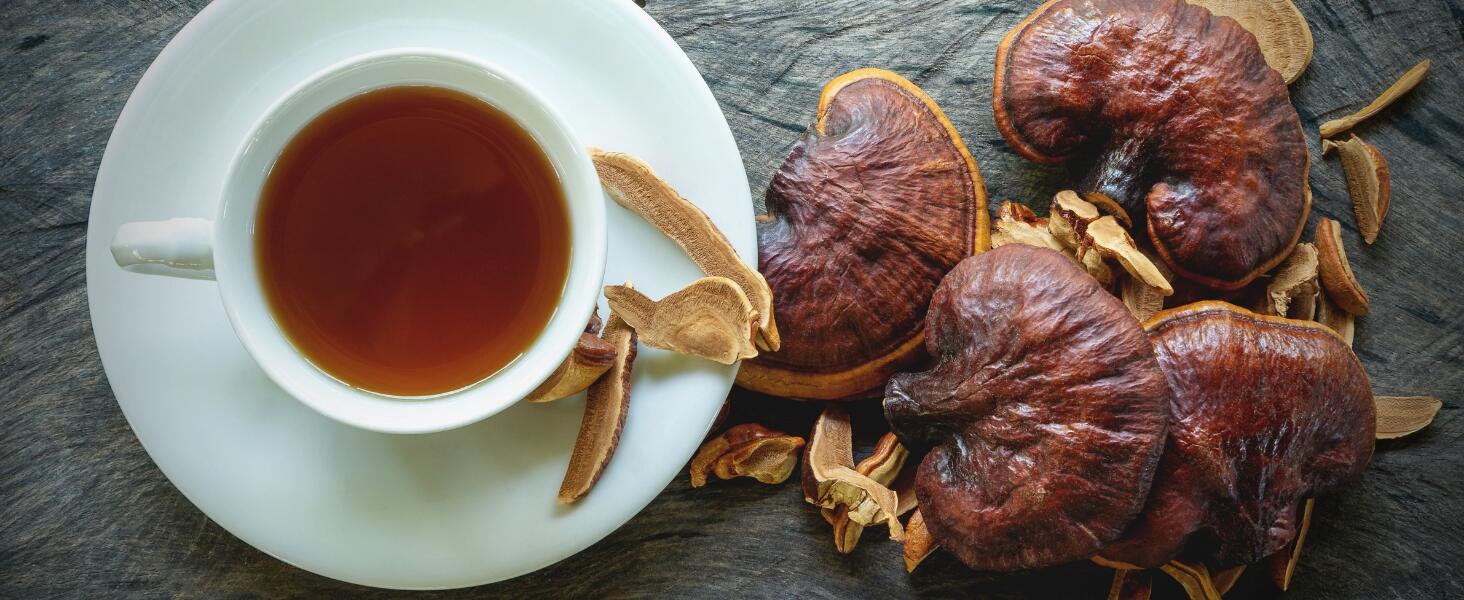 Reishi mushroom tea made from dried Reishi