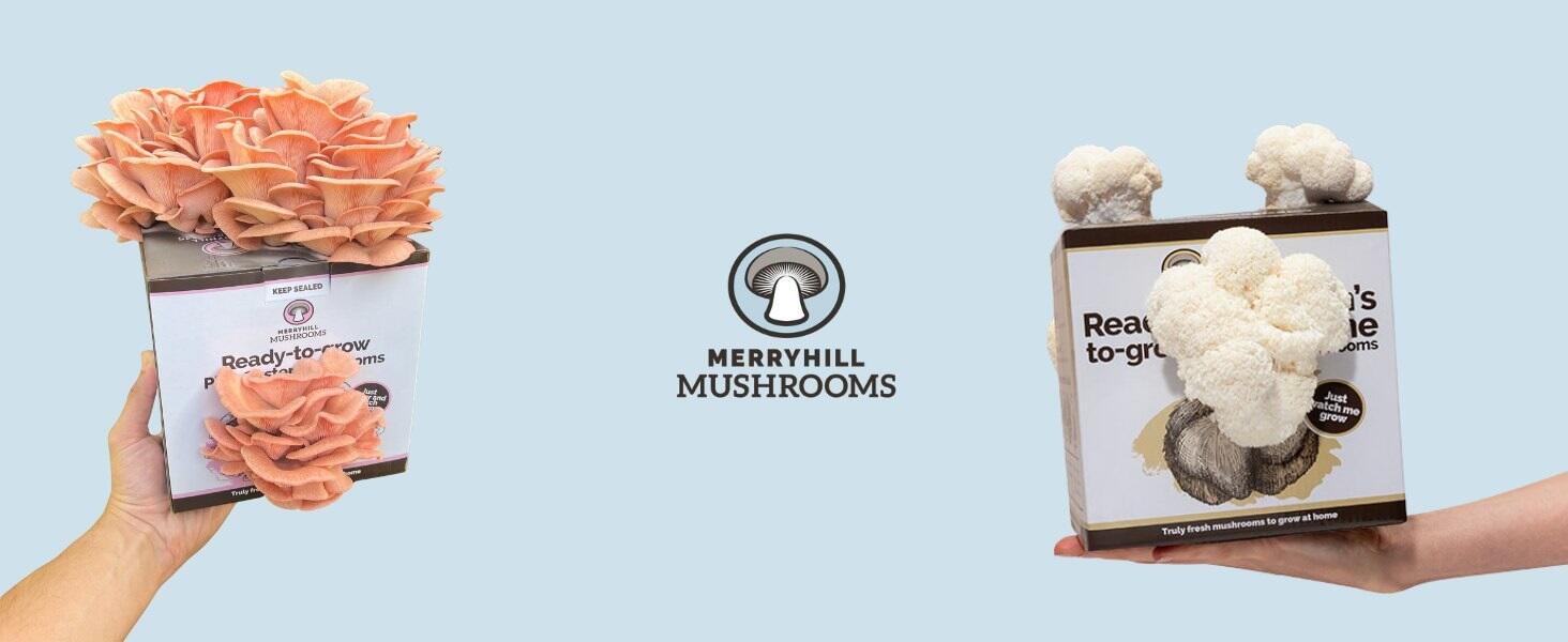 mushroom growing kits