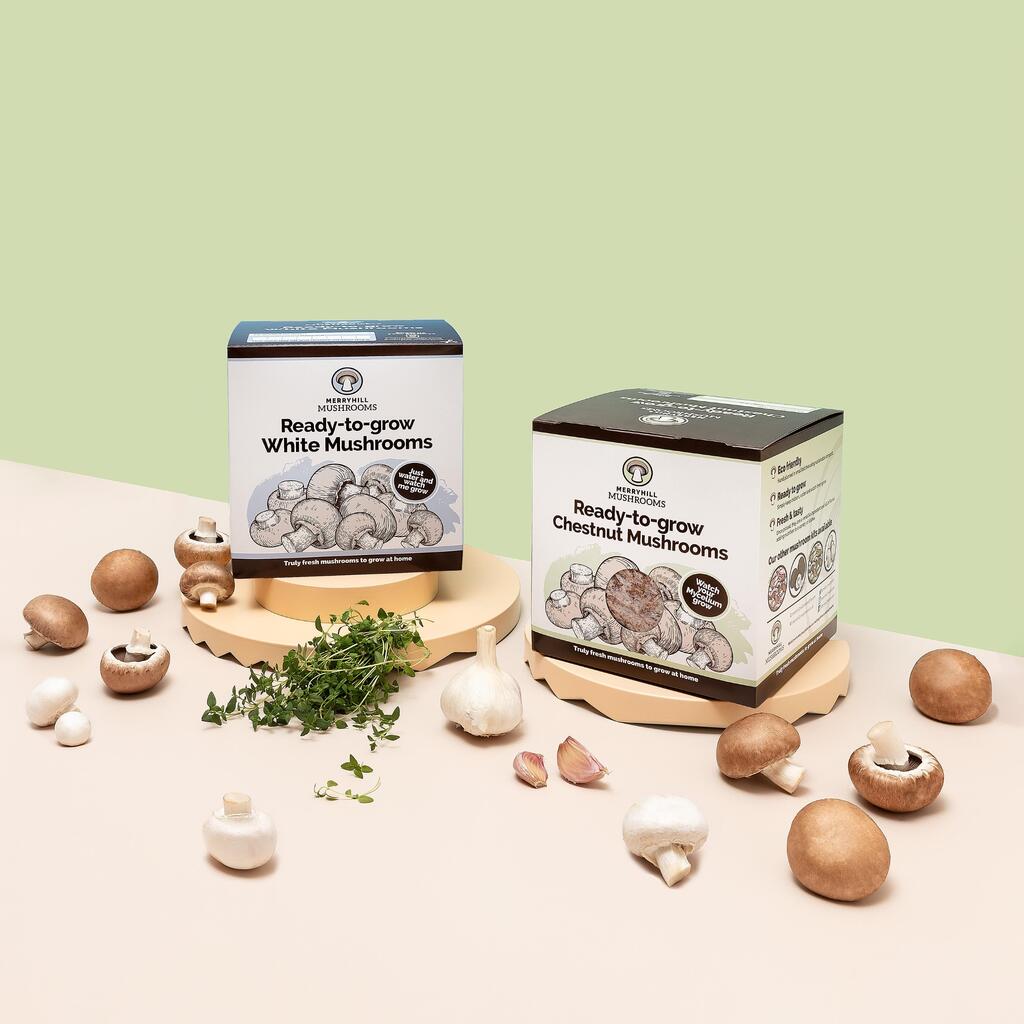 Is it safe to grow mushrooms around children or pets?
