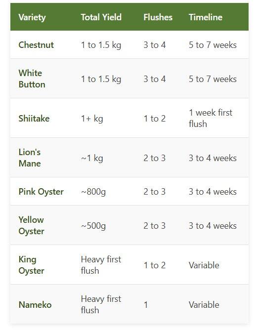 Mushroom Growing Kit Comparison Table