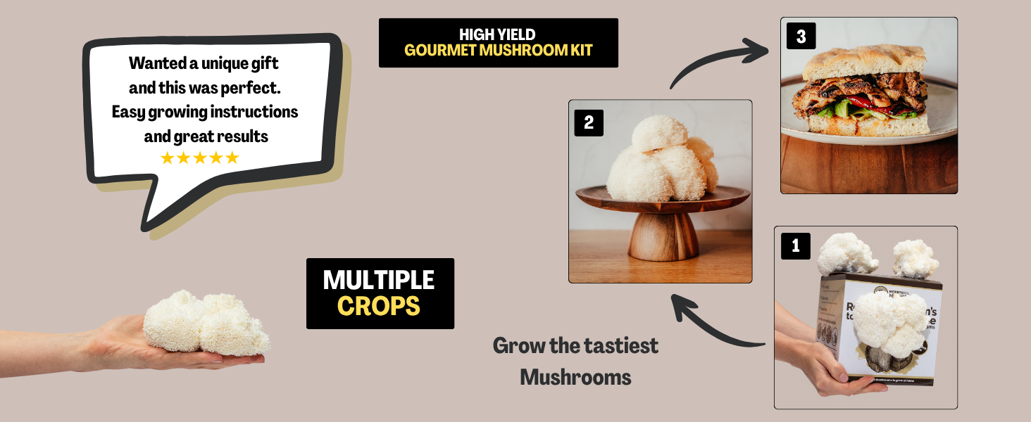 Lions mane mushroom growing kit infographic