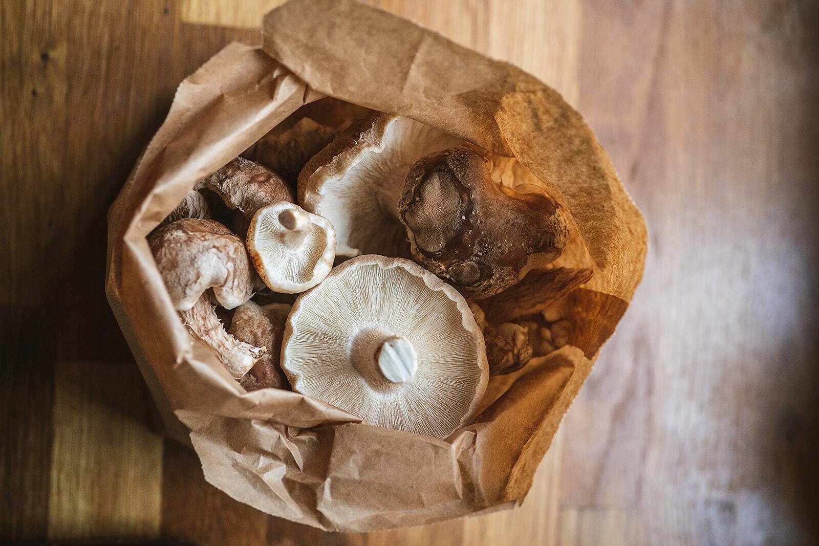 Home-grown mushrooms stored in a paper bag