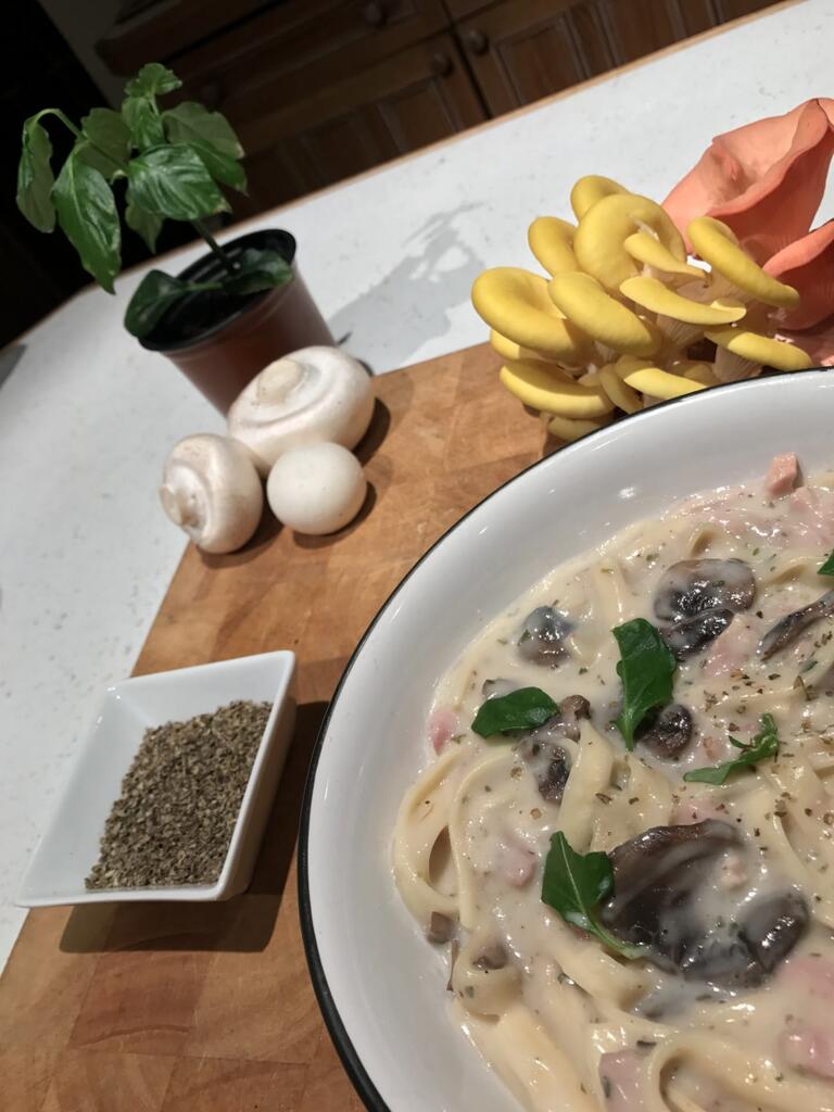 Three Mushroom Tagliatelle with Garlic Sauce