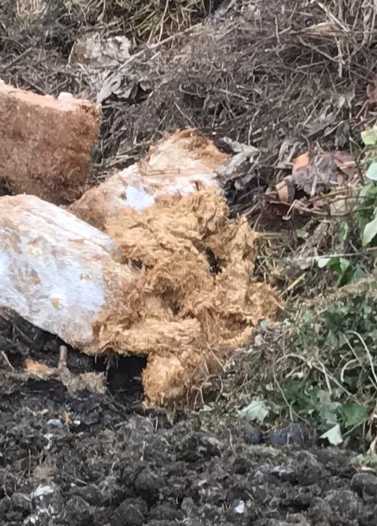 Broken down mushroom substrate mulched into a compost heap