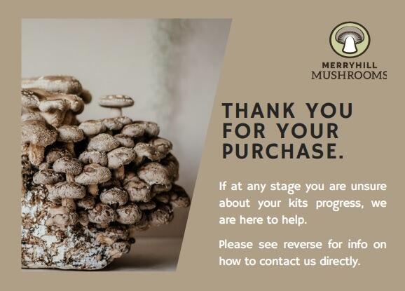 Why Buying a Mushroom Kit Direct Can Be Better Than Marketplaces for Support and Troubleshooting