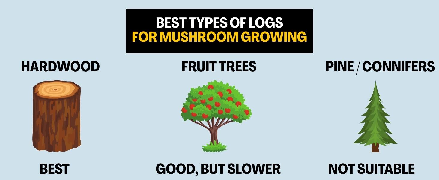 Best types of logs for mushroom growing infographic