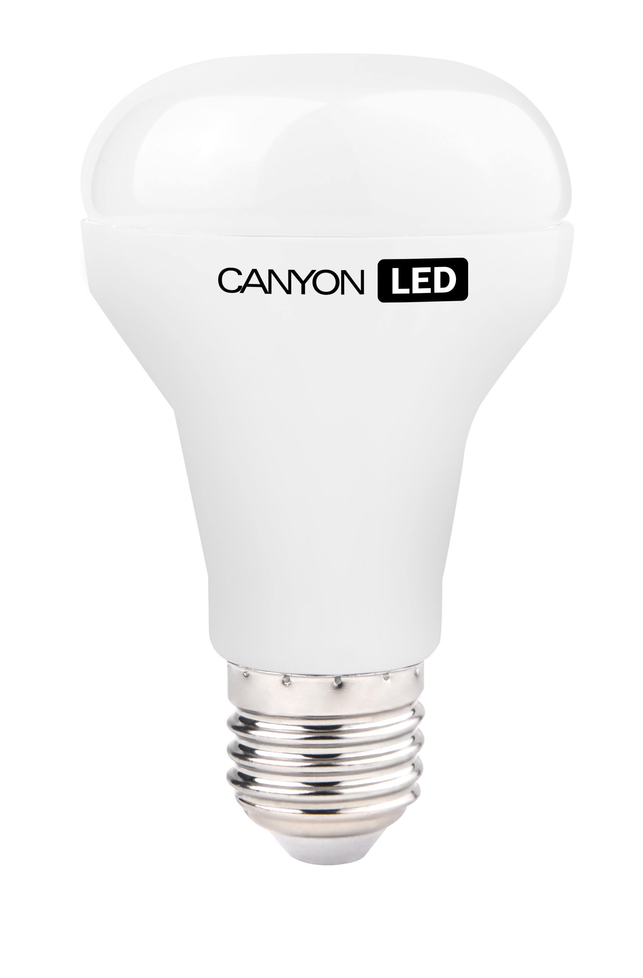 Canyon LED Lamp
