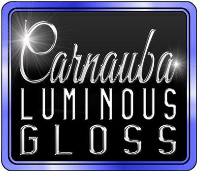 carnaubaluminousglosslogo.jpg